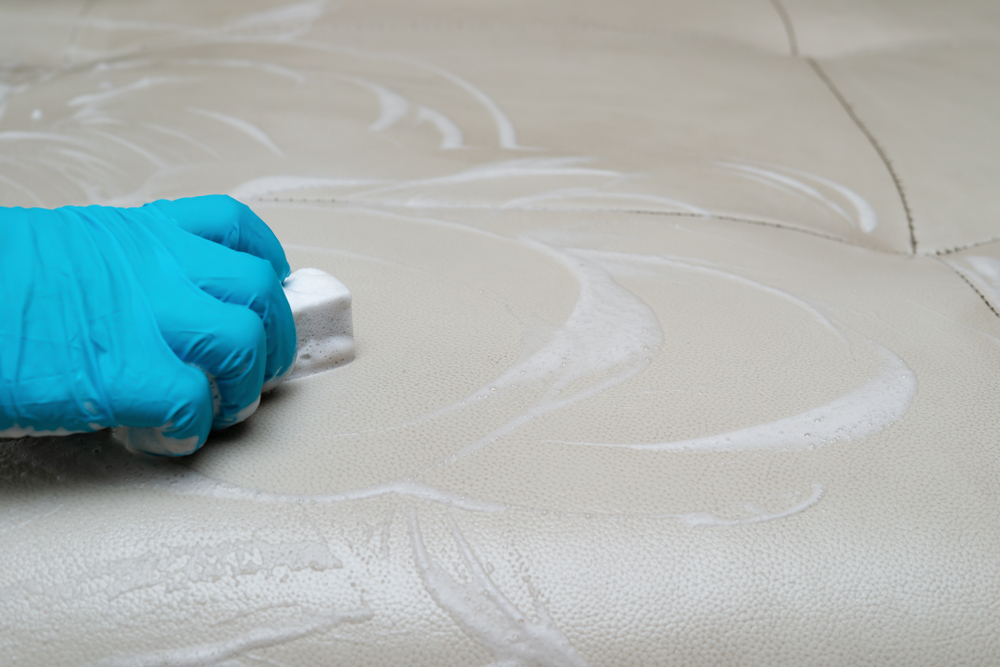 Upholstery Cleaning Services from JMS Enterprises