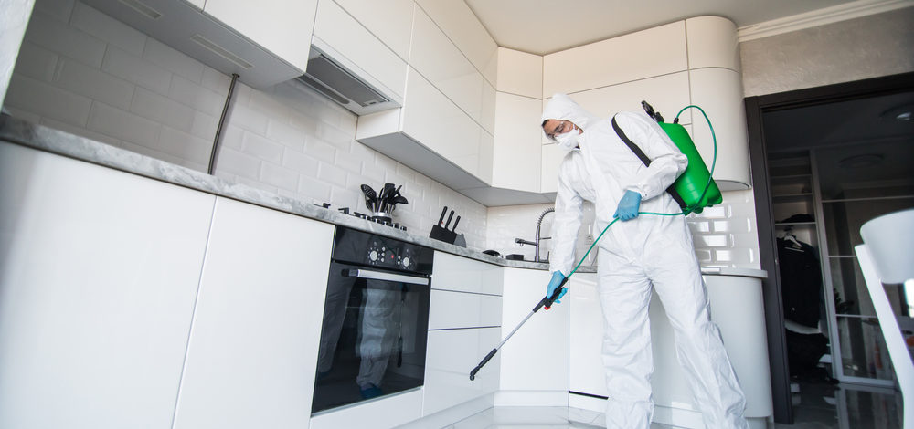 Disinfection and Cleaning Services for Your Residence