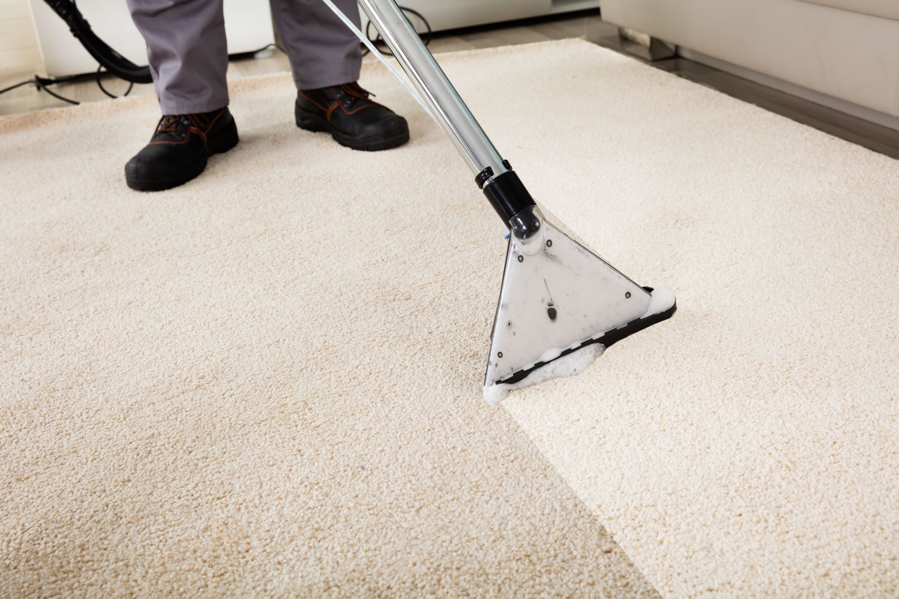 carpet cleaners in bucks county