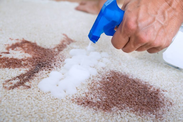 carpet cleaner companies montgomery county pa