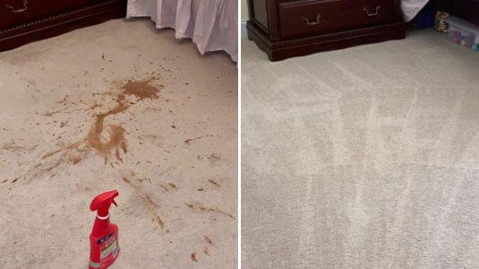 vomit-on-carpet-before-and-after