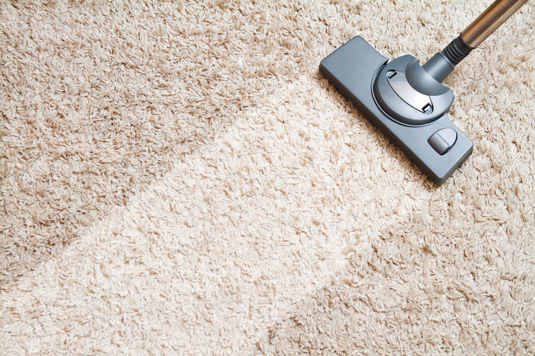 carpet cleaning yardley pa