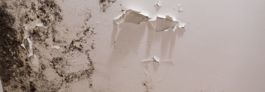 water damage restoration in bucks county pa