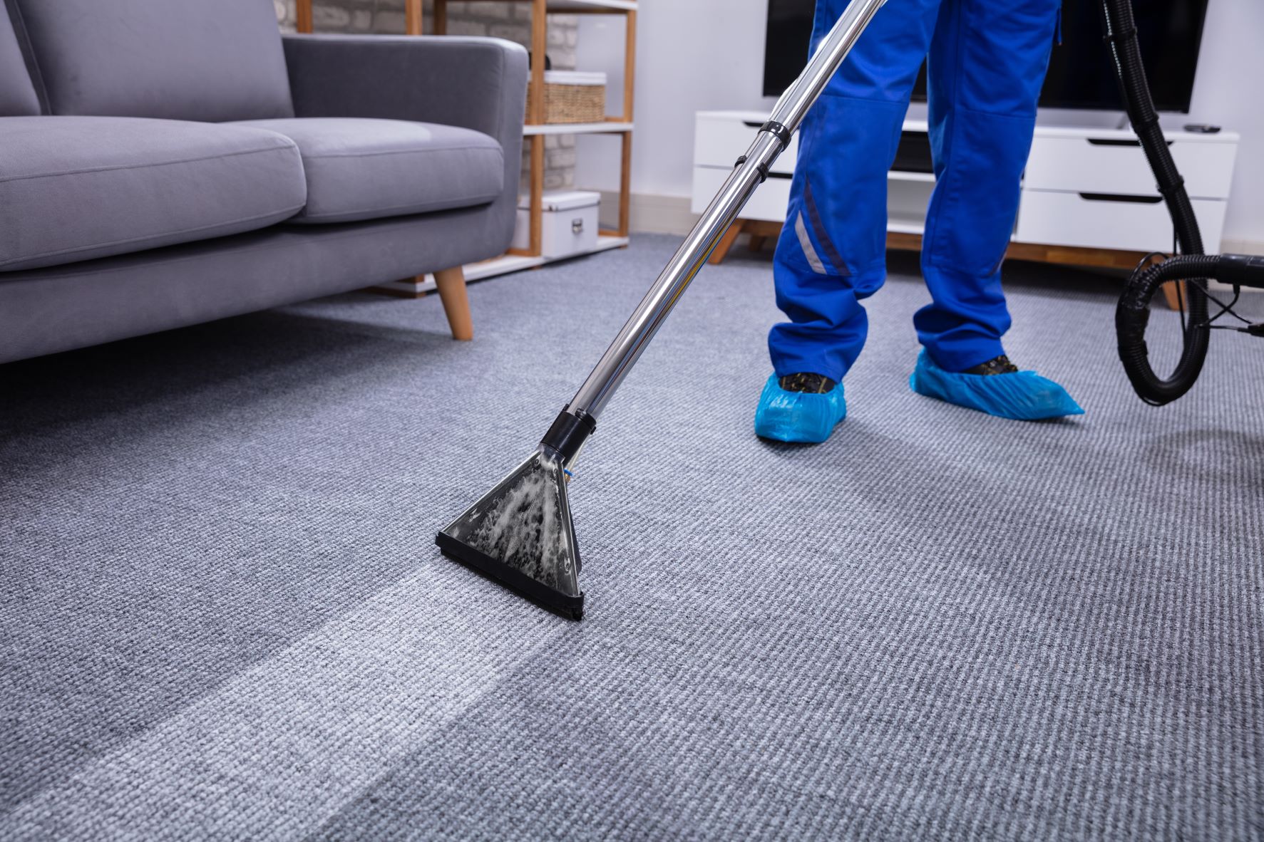 Top Reasons to Use a Professional Area Rug Cleaner