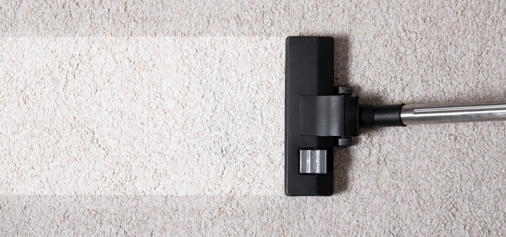 Why You Should Vacuum Your Area Rugs Regularly