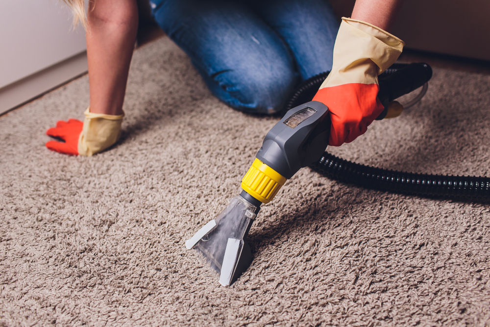Is It Possible to Clean Your Carpets and Area Rugs Too Often?