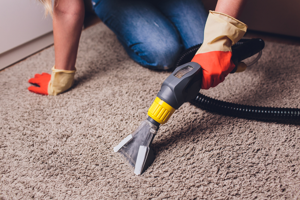 Best Bucks County Carpet Cleaning Company Professional Carpet Care