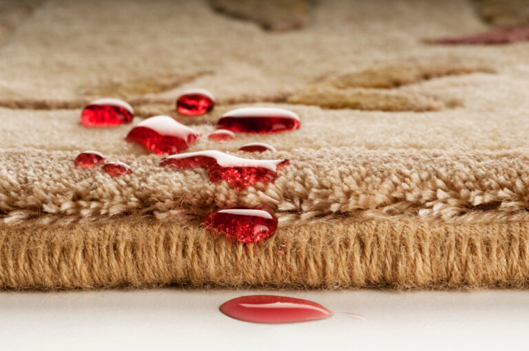 Best Bucks County Carpet Cleaning Company Professional Carpet Care