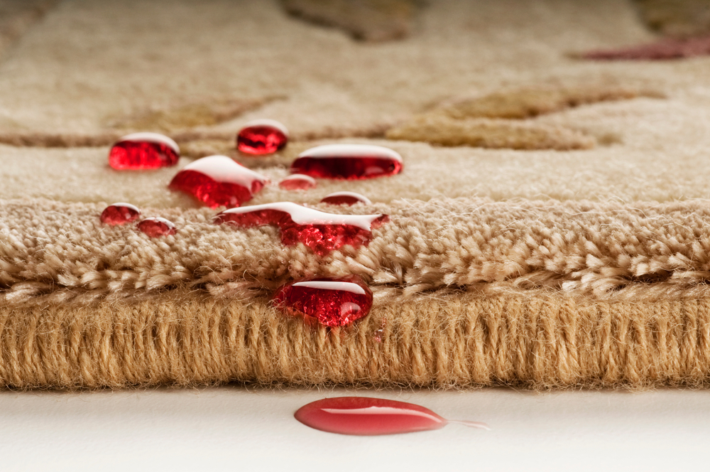 Protecting Carpets and Area Rugs After a Professional Cleaning