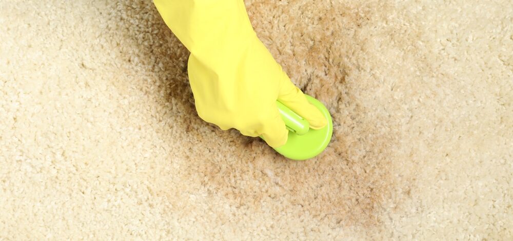 What is Carpet Cleaning?