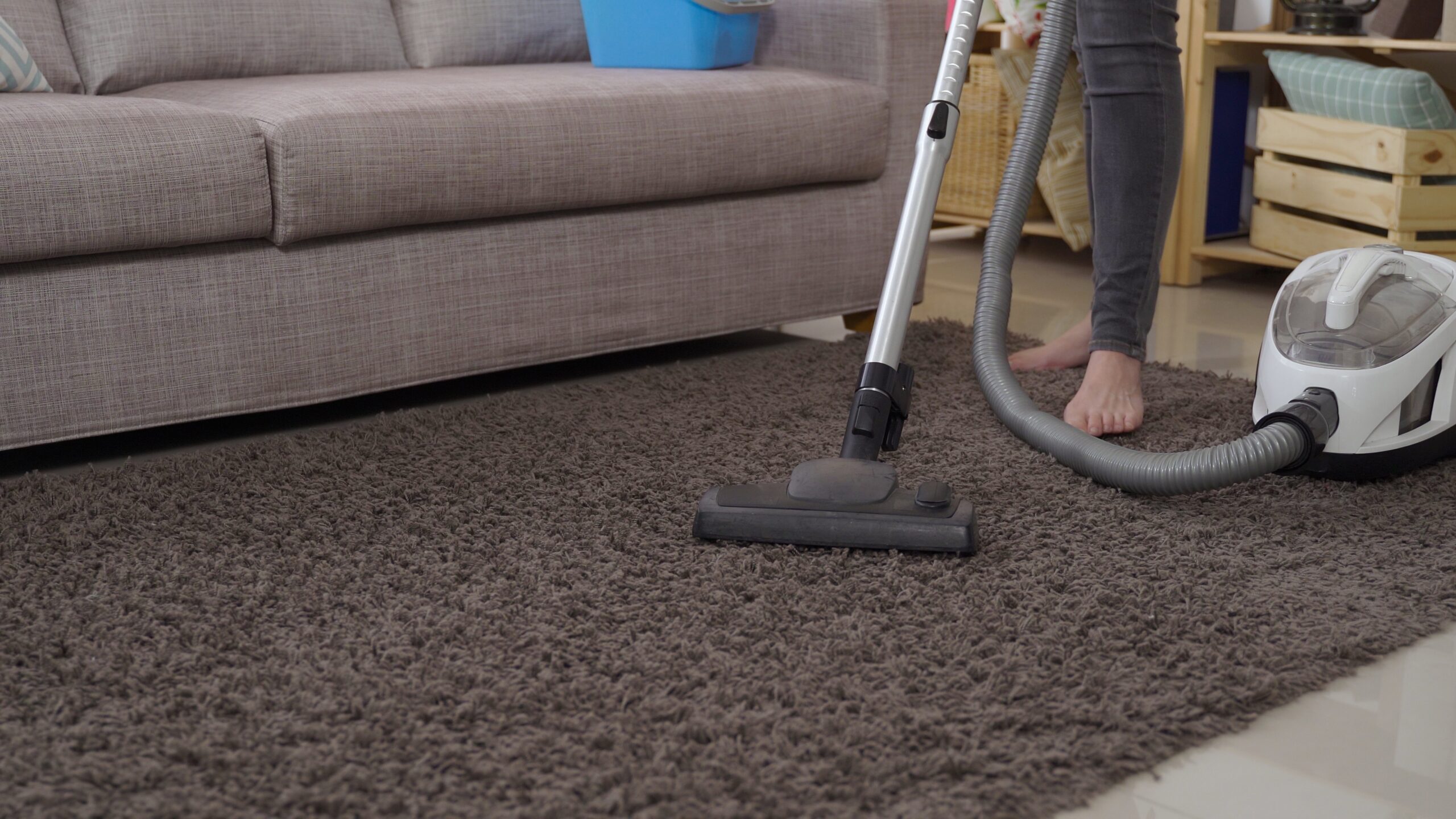 Can An Area Rug Be Steam Cleaned