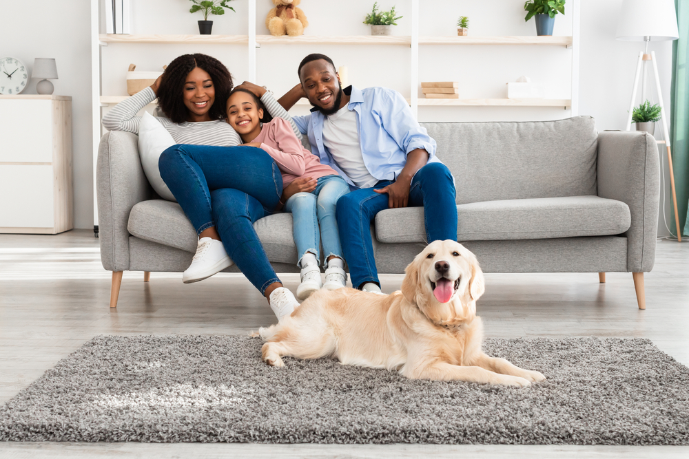 Pet Owners' Guide to Carpet Care: Managing Fur, Odors, and Stains