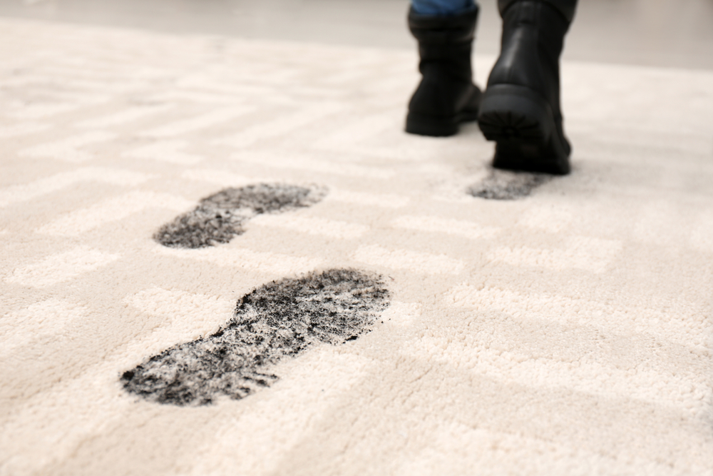 A Guide to Carpet Cleaning for Different Seasons: What Changes and Why