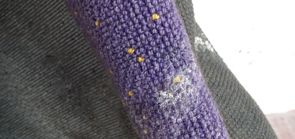 The Hidden Dangers of Indoor Mold in Carpets & Upholstery