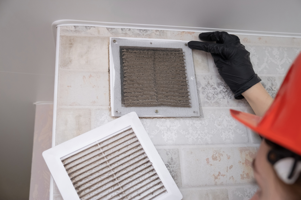 Breathe Easier: The Essential Guide to Professional Air Duct Cleaning
